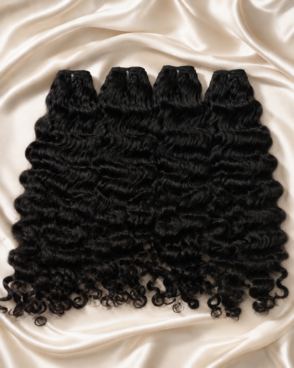 Burmese Curl